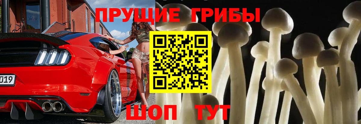 МЕФ Бузулук
