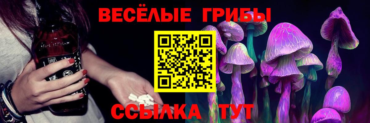 Бузулук  хочу наркоту  Псилоцибиновые грибы Psilocybine cubensis  Вход с VPN  Псилоцибиновые грибы прущие грибы 
